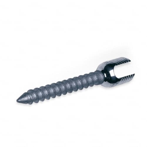SSE Spine System Evolution-Product Picture Enlargement CW