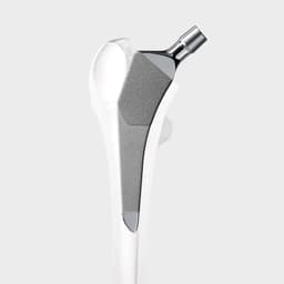CoreHip®-Product Picture